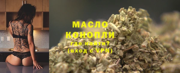 PSILOCYBIN Ельня