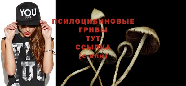 PSILOCYBIN Ельня
