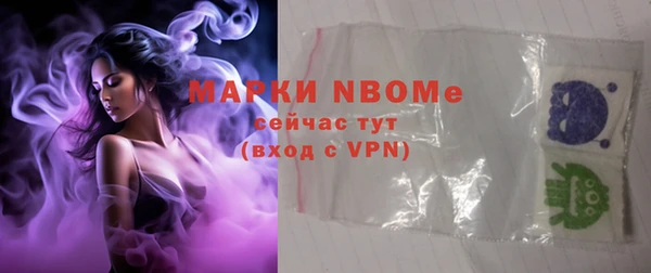 PSILOCYBIN Ельня