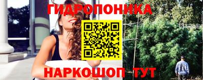 скорость Гагарин