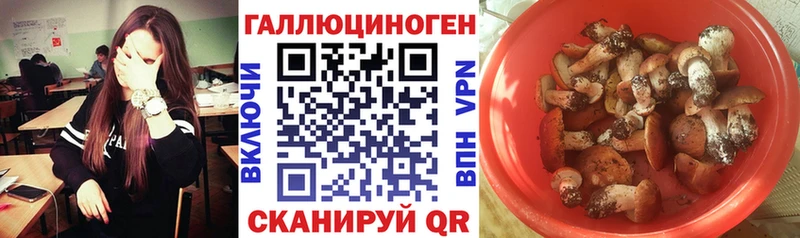 blacksprut сайт  где купить наркоту  Зеленодольск  Псилоцибиновые грибы Cubensis 