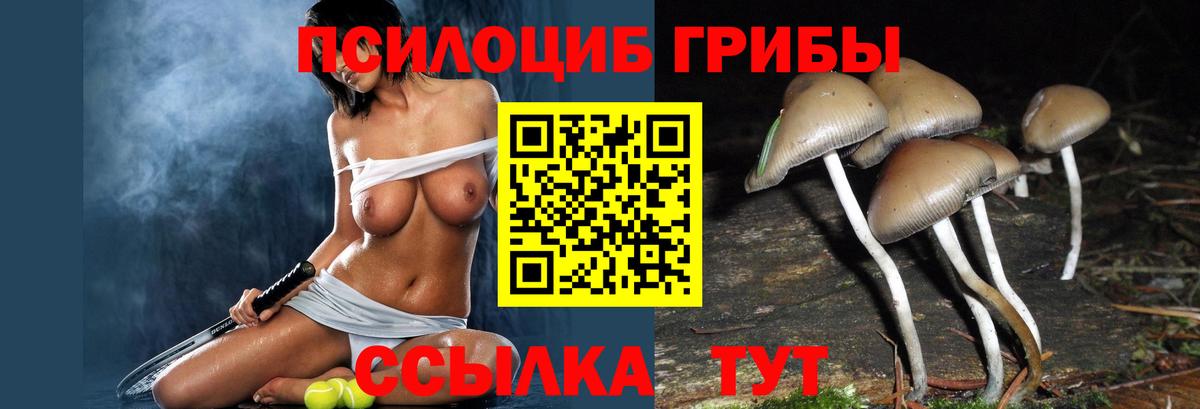 Псилоцибиновые грибы мицелий Зеленодольск